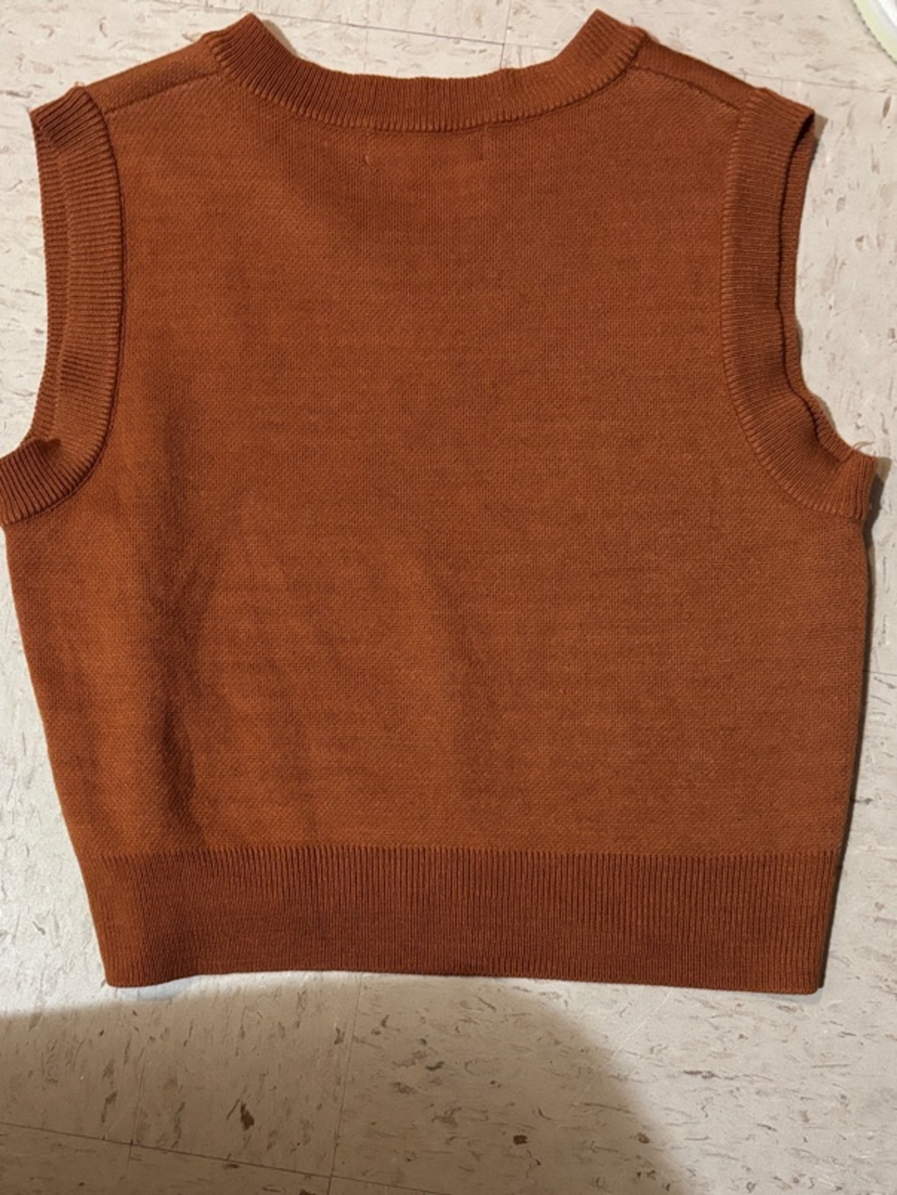 Box Cat Knit Vest in Rust with WONDER Graphic - Picture 3 of 3
